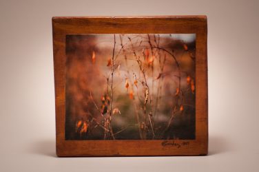 Brian Gooding - wood blocks - autumn