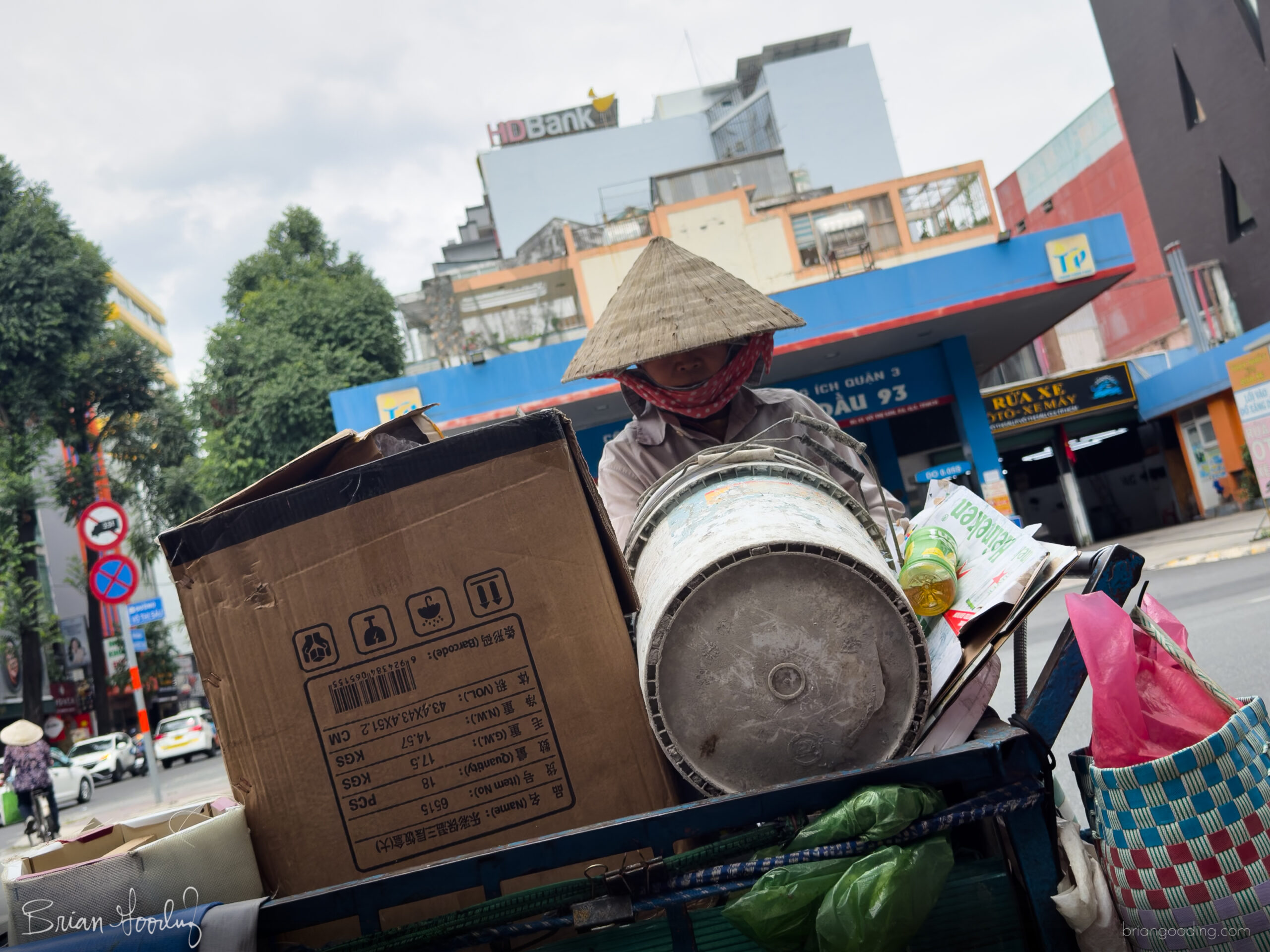 status update (part 2): dragonflies and adventure