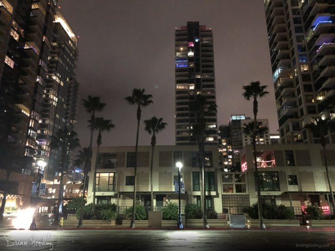 San Diego - palm trees at night
