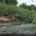 creek therapy - Del Rio